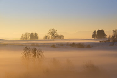 Germany, Gebrazhofen, hazy winter landscape at dawn - SIEF07272