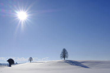 Deutschland, Waltershofen, Winterlandschaft - SIEF07276