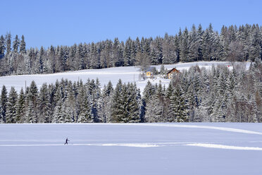 Deutschland, Maierhöfen, Skilangläufer in Winterlandschaft - SIEF07280