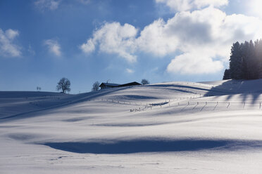 Deutschland, Buchenberg, Winterlandschaft - SIEF07281