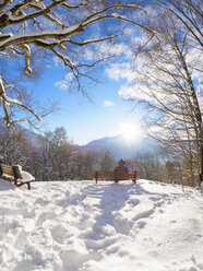 Deutschland, Kochel am See, Rückenansicht eines Mannes auf einer Bank am Aussichtspunkt im Winter - LAF01815