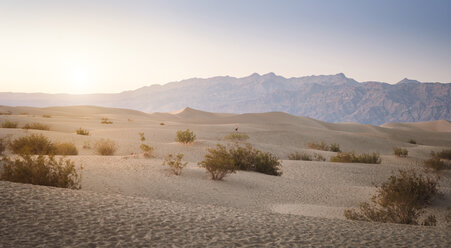 USA, California, Death Valley National Park, dunes at sunset - EPF00301