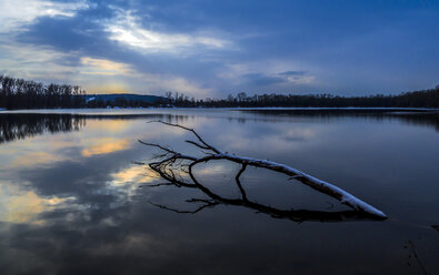 Austria, Linz, Weikerlsee, tree trunk in water - EJWF00834