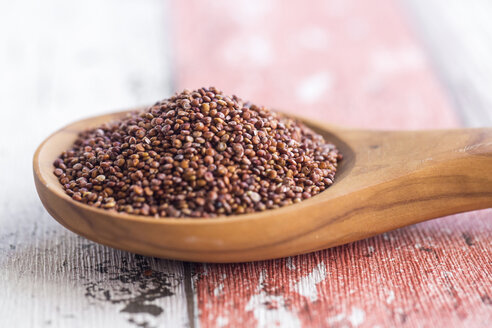 Rote Quinoa auf Holzlöffel, Nahaufnahme - SARF03138