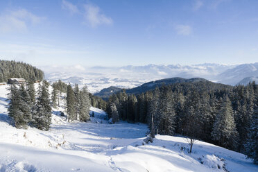 Deutschland, Nesselwang, Winterlandschaft - MYF01865