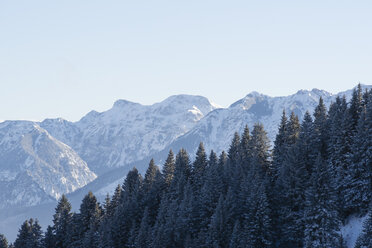 Deutschland, Nesselwang, Allgäuer Alpen, Blick auf schneebedeckte Gipfel - MYF01867