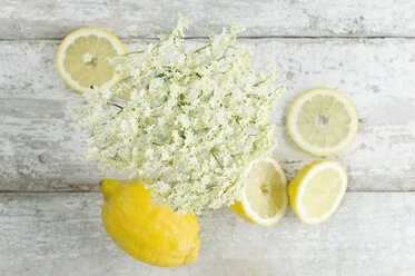 Elderflowers and whole and sliced lemon - ASF06063