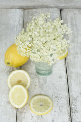 Elderflowers and sliced lemon - ASF06064