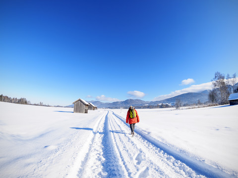 Deutschland, Bayern, Frau beim Wandern auf dem Weg von Kochel am See zum Kloster Benediktbeuern im Winter, lizenzfreies Stockfoto