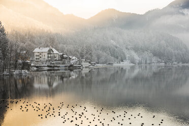 Germany, Lake Kochel in winter - FCF01161