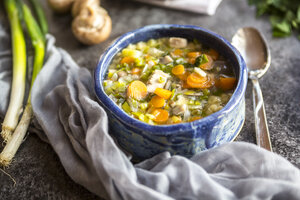 Hühnersuppe mit Lauch, Karotten, Nudeln, Frühlingszwiebeln, Champignons und Petersilie - SARF03171