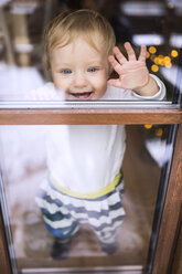 Lachender kleiner Junge schaut aus dem Fenster - HAPF01358
