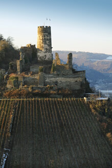 Deutschland, Rheindiebach, Blick auf die Ruine von Schloss Fürstenberg - BSC00561