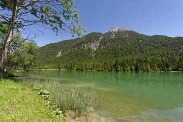 Austria, Tyrol, Sankt Ulrich am Pillersee, view to Pillersee with Ulrichshorn in the background - LBF01550