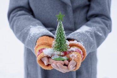 Teenager-Mädchen hält kleinen Weihnachtsbaum - LBF01551