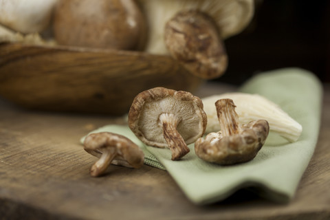 Shitake-Pilze, lizenzfreies Stockfoto