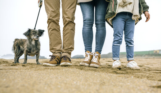 Tiefschnitt einer Familie mit Hund am Strand im Winter - DAPF00569