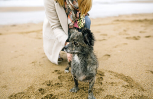 Frau mit Hund schaut seitwärts am Strand im Winter - DAPF00577