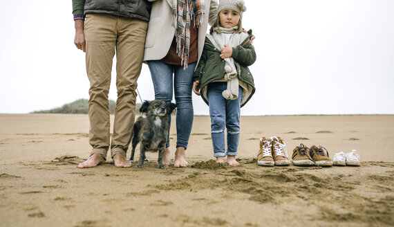 Low section of family with dog standing barefoot on the beach - DAPF00581