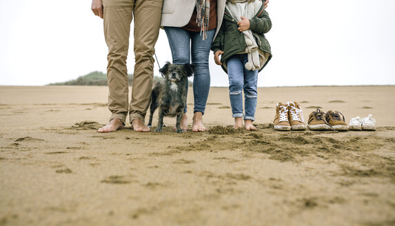 Low section of family with dog standing barefoot on the beach - DAPF00582