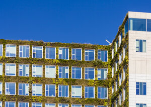 Niederlande, Amsterdam, Bürogebäude mit Fassadenbegrünung - WDF03875
