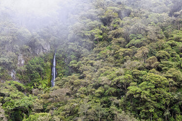 Peru, Amazonasbecken, Nebelwald mit Wasserfall - FOF08818