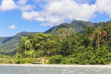 Peru, Amazonasbecken, Rio Madre de Dios - FOF08827