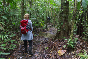 Peru, Amazon basin, Manu National Park, tourist hiking through rain forest - FOF08830