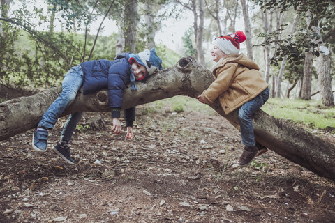 Zwei Jungen spielen auf einem Baum im Wald, lizenzfreies Stockfoto