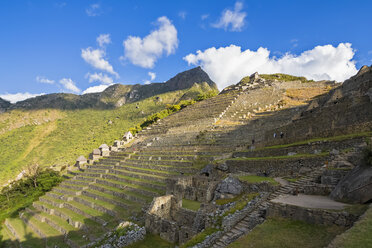 Peru, Anden, Urubamba-Tal, Machu Picchu, Terrassen mit Berg Machu Picchu - FOF08842