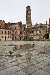 Italy, Venice, pigeons on Campo Sant'Angelo - XCF00136