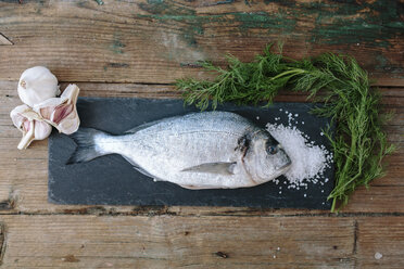 Seebrasse auf einer Schiefertafel mit Dill, Salz und Knoblauch - GIOF01855