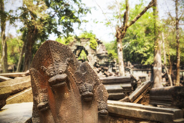 Kambodscha, Angkor, Beng Mealea-Tempel - REAF00180