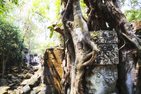 Kambodscha, Angkor, Beng Mealea-Tempel - REAF00183