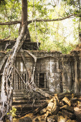 Kambodscha, Angkor, Beng Mealea-Tempel - REAF00185