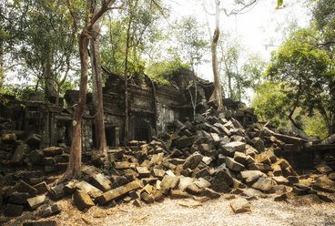 Kambodscha, Angkor, Beng Mealea-Tempel - REAF00186