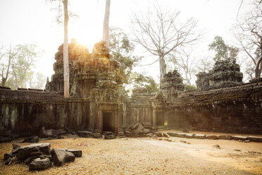 Cambodia, Angkor, Ta Prohm temple, Tomb Raider film location - REAF00190