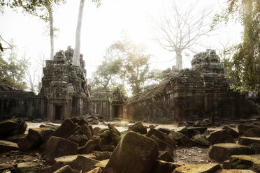 Cambodia, Angkor, Ta Prohm temple, Tomb Raider film location - REAF00191