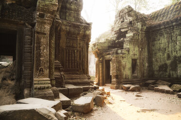 Cambodia, Angkor, Ta Prohm temple, Tomb Raider film location - REAF00196