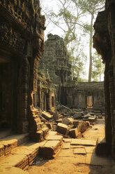 Cambodia, Angkor, Ta Prohm temple, Tomb Raider film location - REAF00197