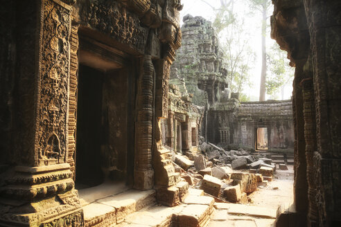 Kambodscha, Angkor, Ta Prohm-Tempel, Tomb Raider-Drehort - REAF00198