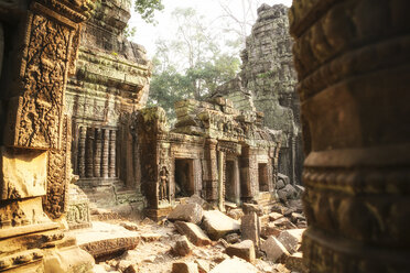 Cambodia, Angkor, Ta Prohm temple, Tomb Raider film location - REAF00199