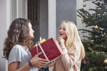 Mädchen übergibt Weihnachtsgeschenk an Freund - RHF01844