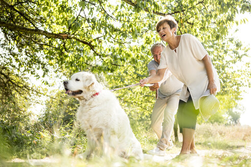 Älteres Paar geht mit Hund spazieren - WESTF22706