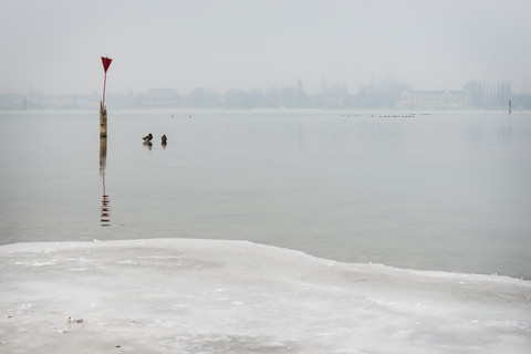 Deutschland, Bodensee, Blick auf Konstanz bei Morgennebel im Winter, lizenzfreies Stockfoto