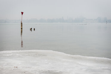 Deutschland, Bodensee, Blick auf Konstanz bei Morgennebel im Winter - KEBF00473