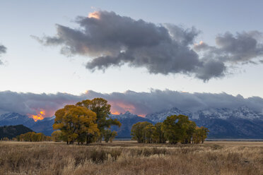 USA, Wyoming, Rocky Mountains, Grand Teton National Park, Espen im Herbst bei Sonnenuntergang - FOF08854