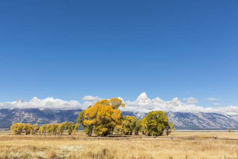 USA, Wyoming, Rocky Mountains, Grand Teton National Park, Cathedral Group und Espen im Herbst - FOF08856