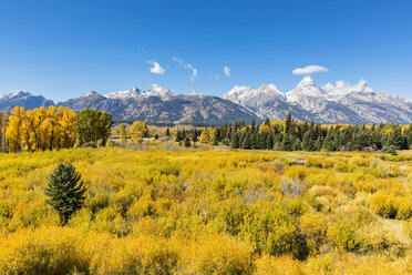 USA, Wyoming, Rocky Mountains, Grand Teton National Park, Cathedral Group und Snake River - FOF08860