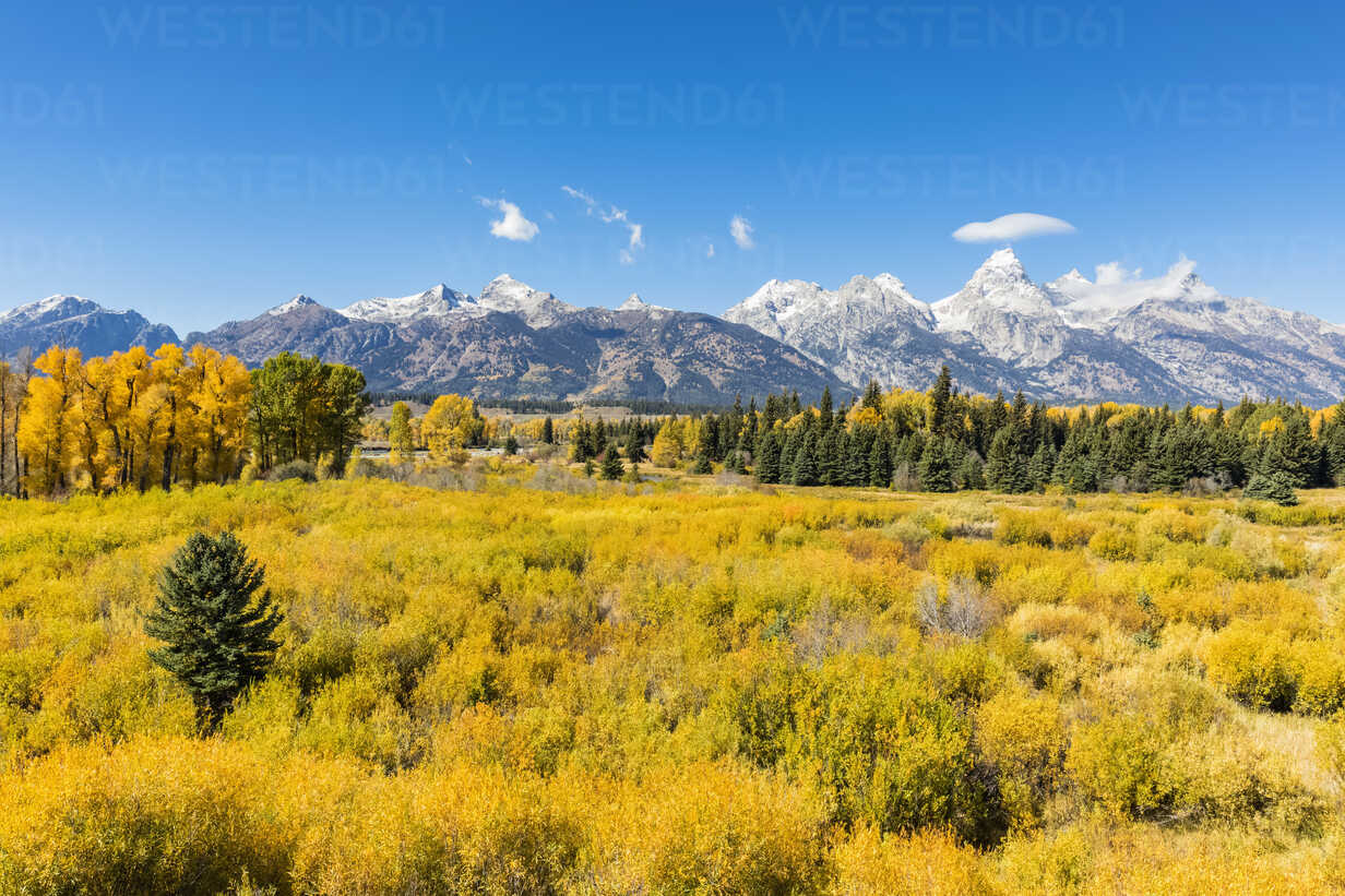 USA, Wyoming, Rocky Mountains, Grand Teton National Park, Cathedral Group  and Snake River stock photo